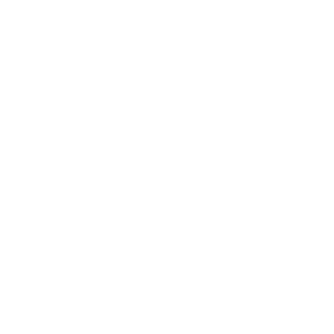 Leetcode icon